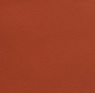 Long Island 18 orange