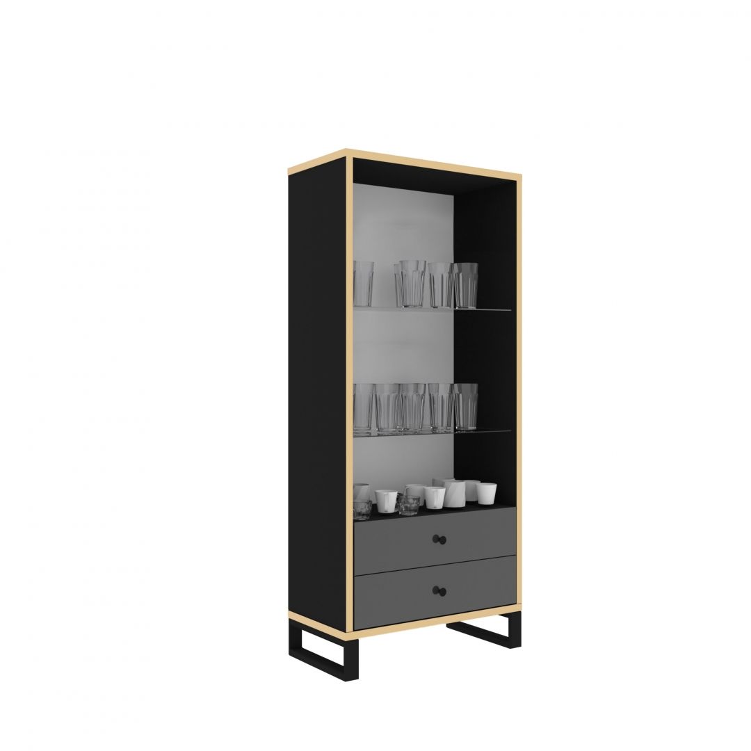 Prosklená vitrína HENRY 2S